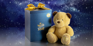 Wish Upon a Star Teddy Bear and Box- Name a Star and make a wish