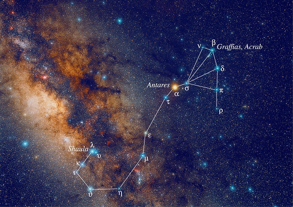 Artist rendition of the constellation Scorpius