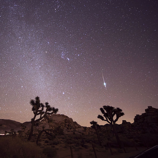 A Meteor over Joshua Tree, California