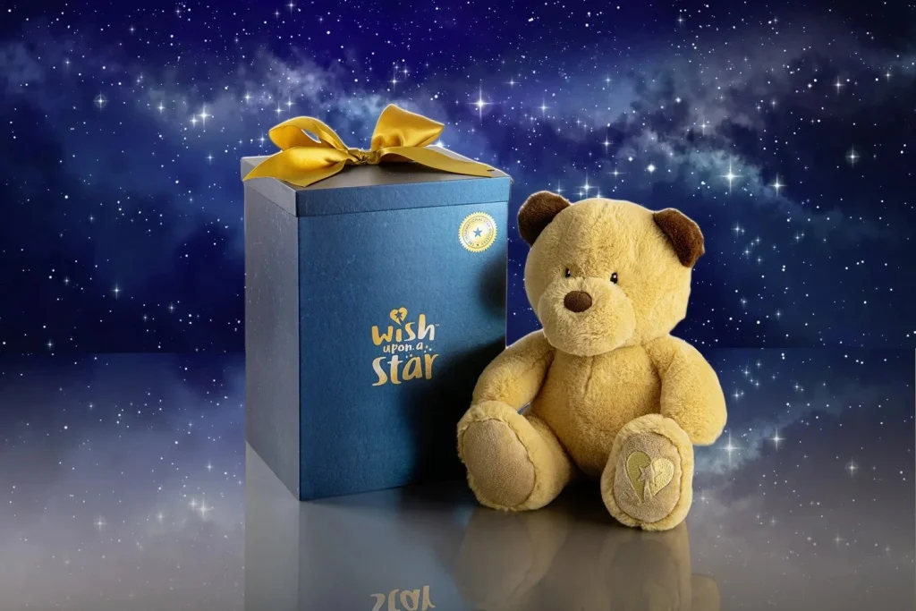 Wish Upon a Star Teddy Bear and Box