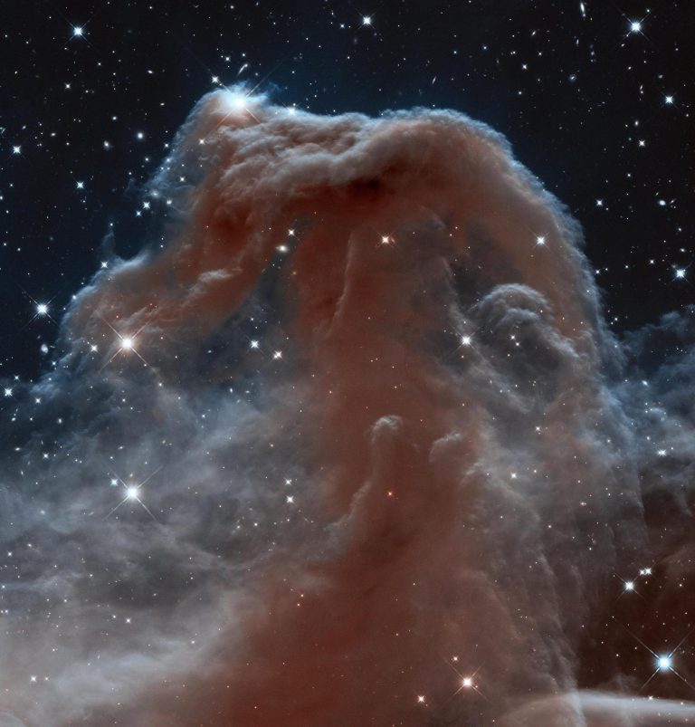 Horsehead Nebula in Orion