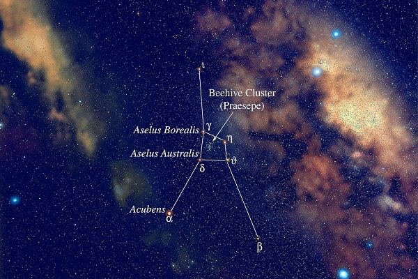 Artist rendition of the constellation Cancer
