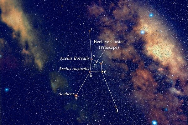Cancer Zodiac Sign Artist rendition of the constellation Cancer