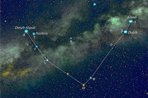 Capricorn Artist rendition of the constellation Capricorn