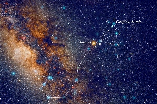 Scorpius Artist rendition of the constellation Scorpius