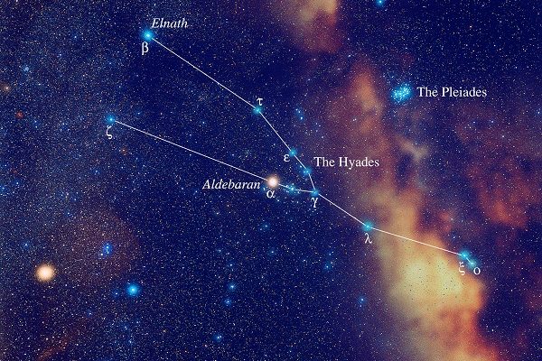 Taurus Artist rendition of the constellation Taurus